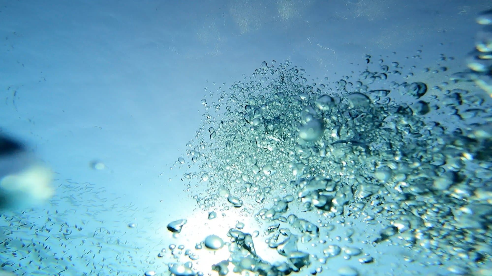 Luftblasen steigen beim Tauchen zur Wasseroberfläche auf