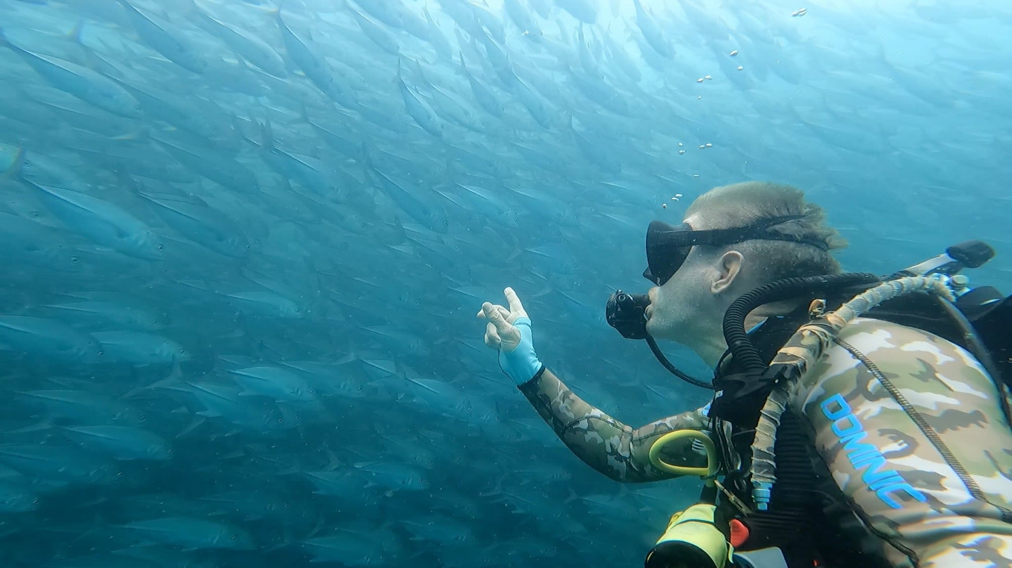 Dominic Frei taucht mit einem riesigen Fischschwarm in der Bandasee, Indonesien
